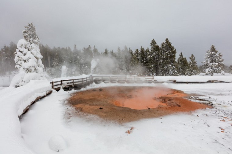 52 Yellowstone NP.jpg